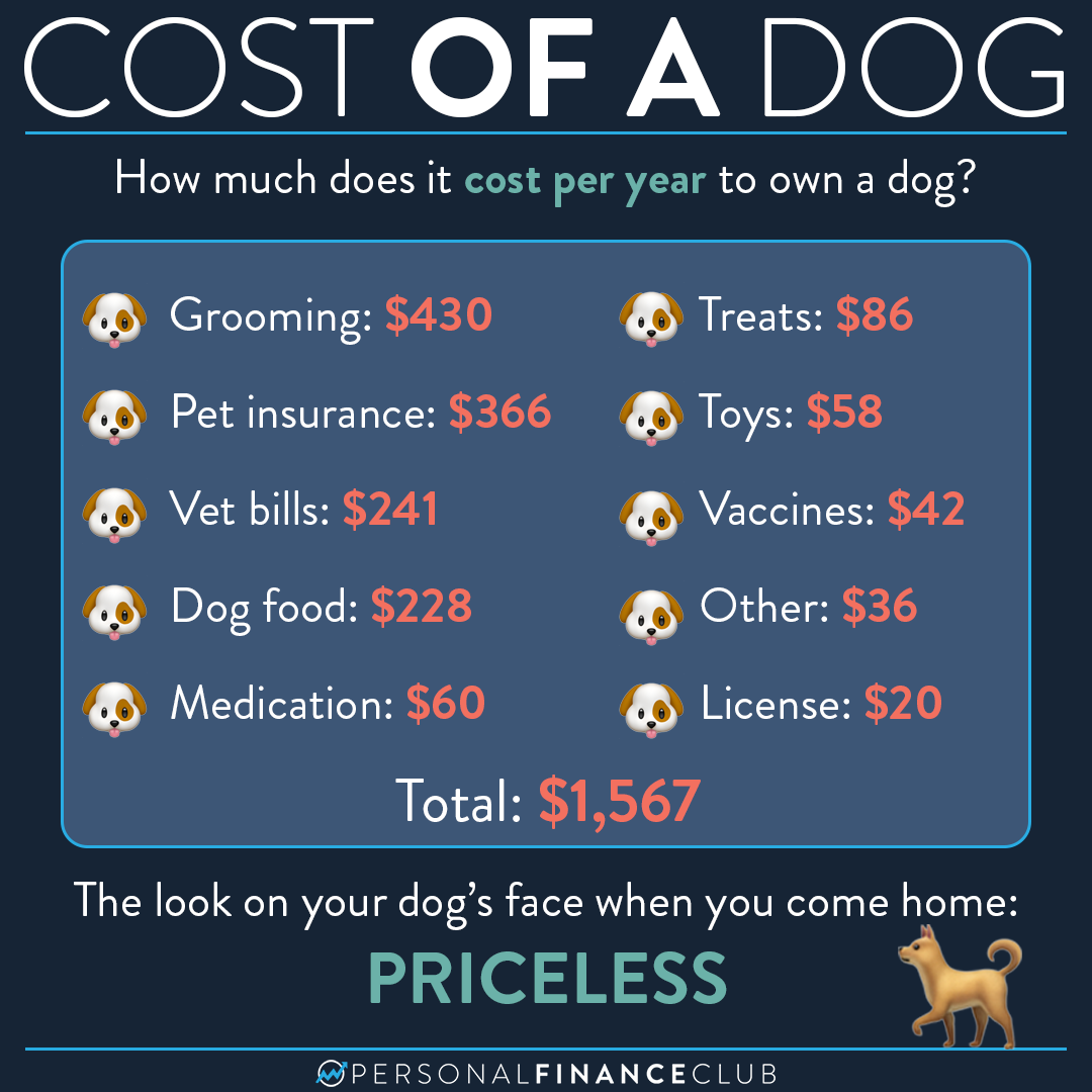 How much does dog ownership cost? Personal Finance Club