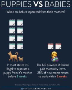 Puppies vs Babies